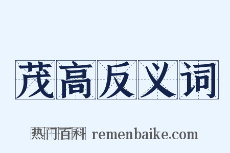 茂高反义词是什么意思的图片